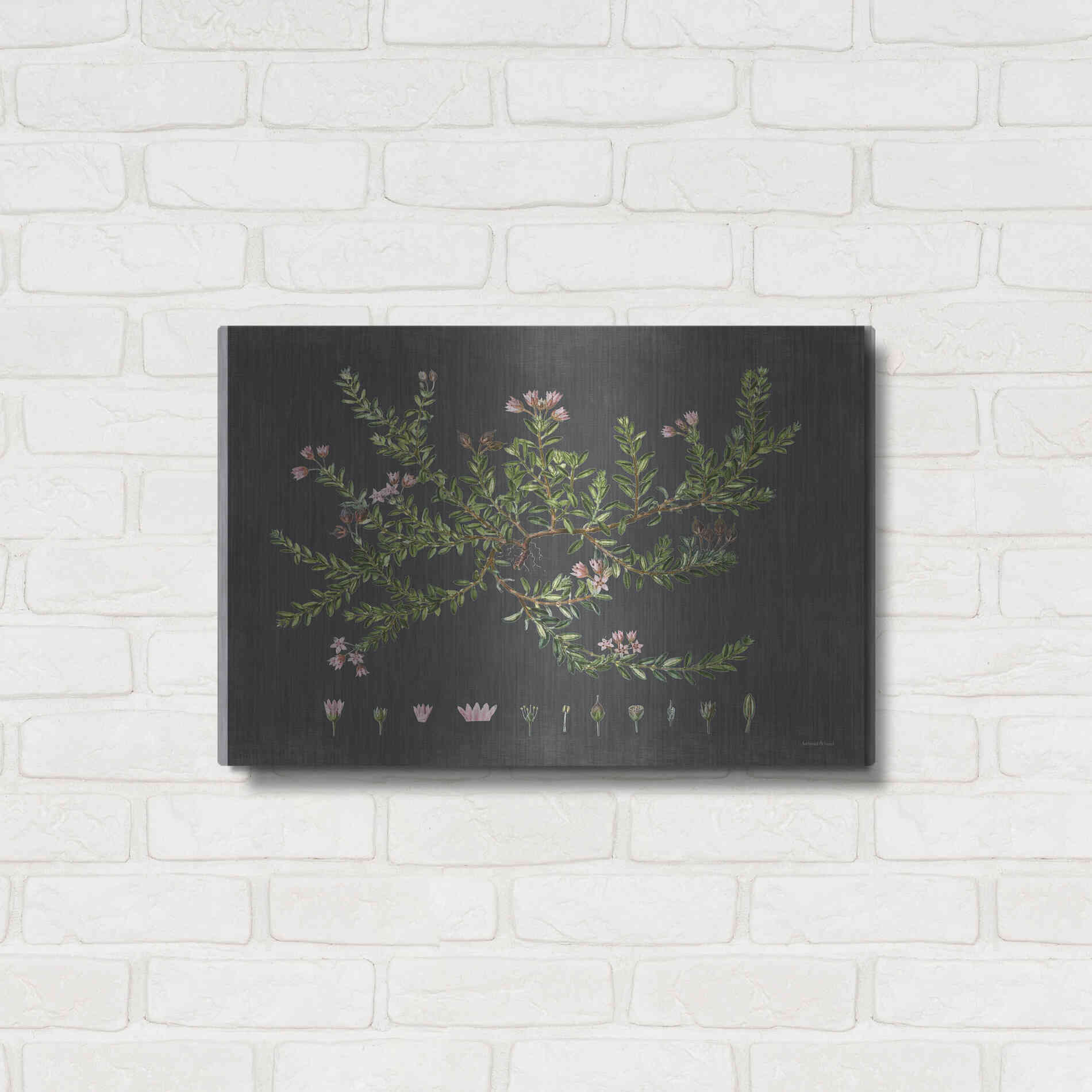 Luxe Metal Art 'Alpine Azalea' by Lettered & Lined, Metal Wall Art,24x16