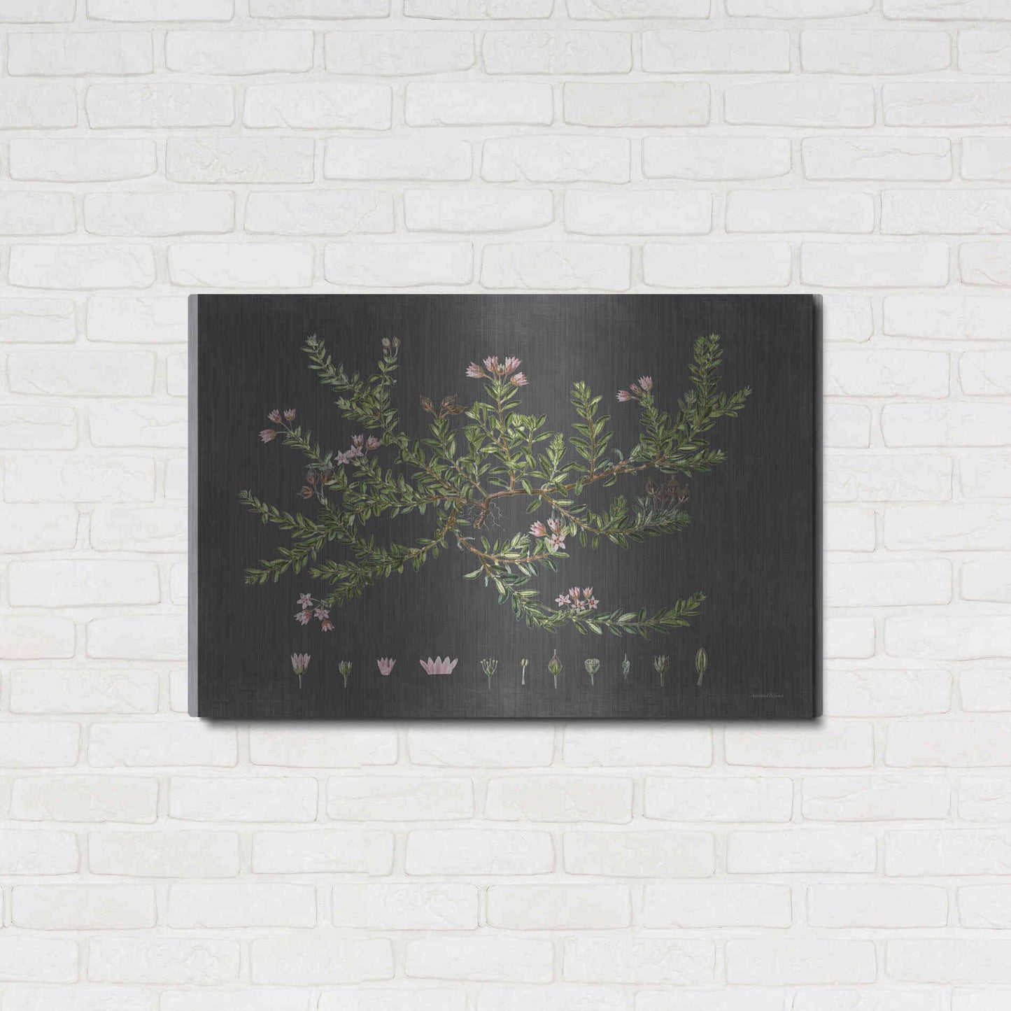 Luxe Metal Art 'Alpine Azalea' by Lettered & Lined, Metal Wall Art,36x24