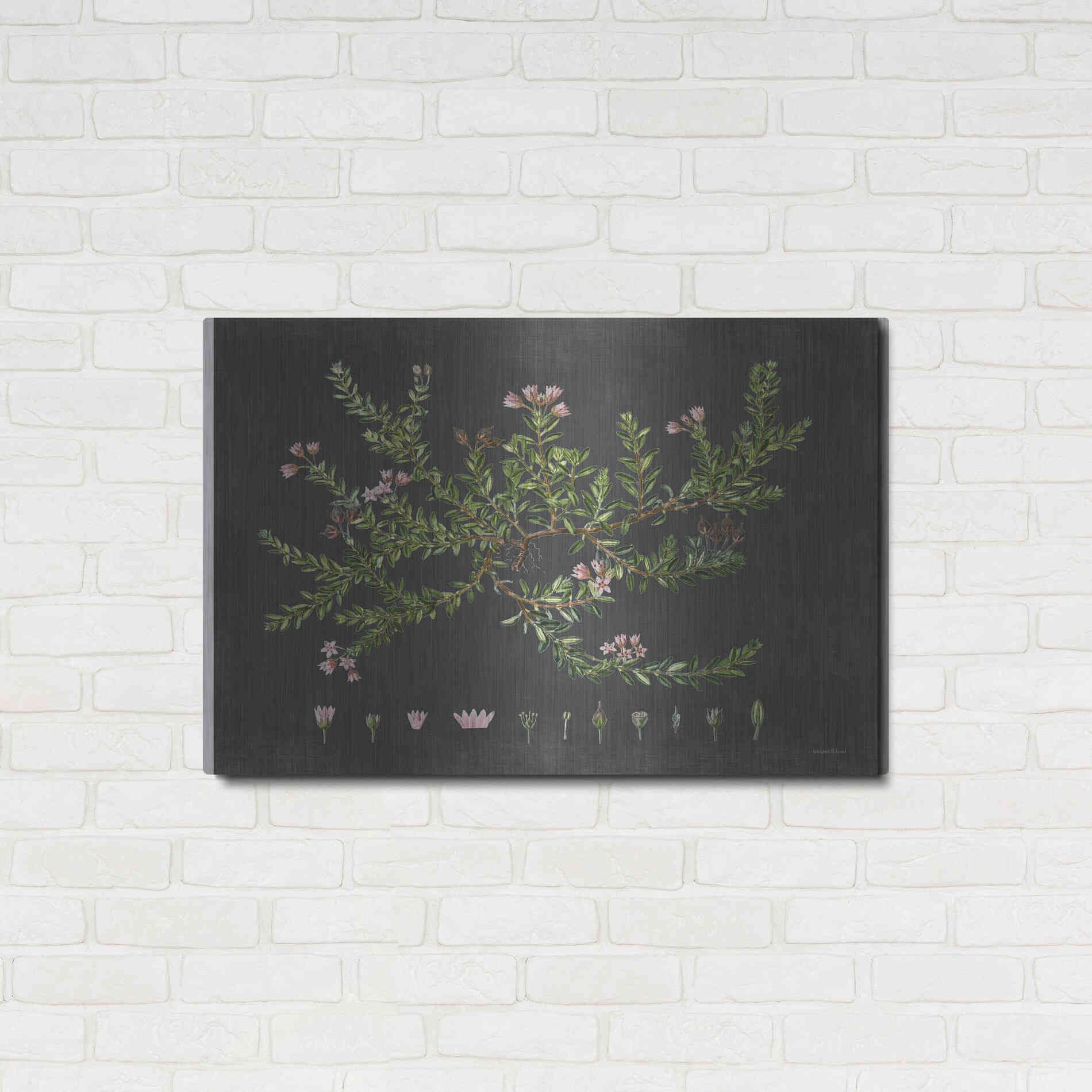 Luxe Metal Art 'Alpine Azalea' by Lettered & Lined, Metal Wall Art,36x24