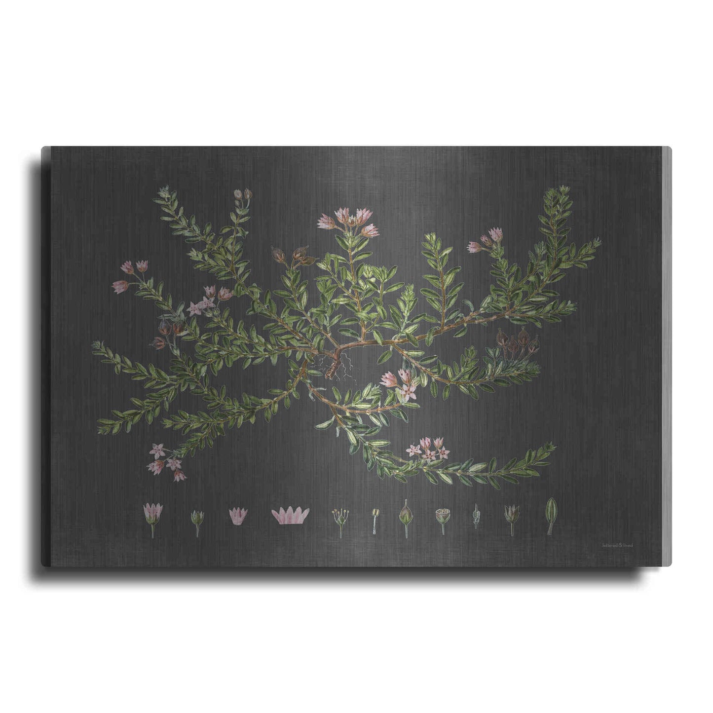 Luxe Metal Art 'Alpine Azalea' by Lettered & Lined, Metal Wall Art