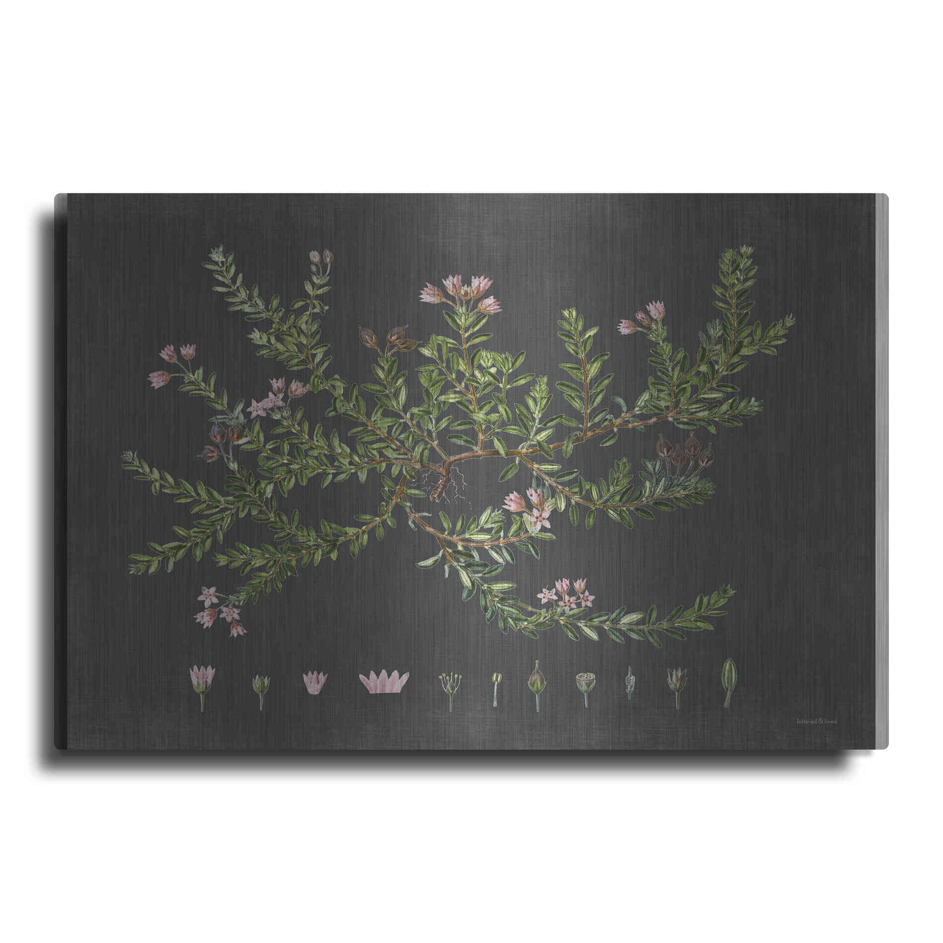 Luxe Metal Art 'Alpine Azalea' by Lettered & Lined, Metal Wall Art