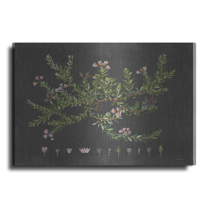 Luxe Metal Art 'Alpine Azalea' by Lettered & Lined, Metal Wall Art