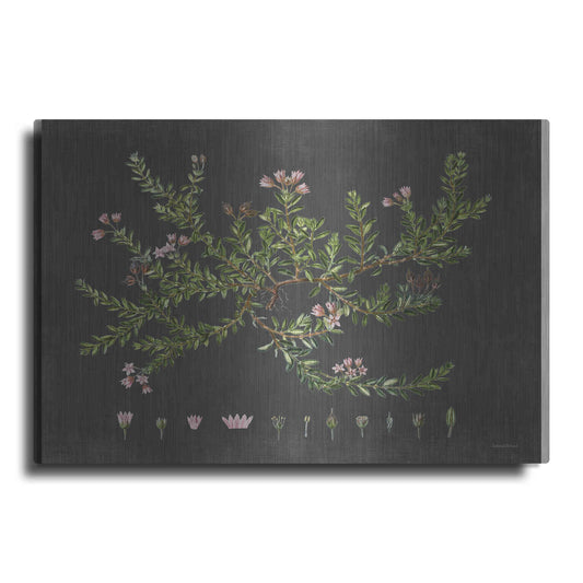 Luxe Metal Art 'Alpine Azalea' by Lettered & Lined, Metal Wall Art