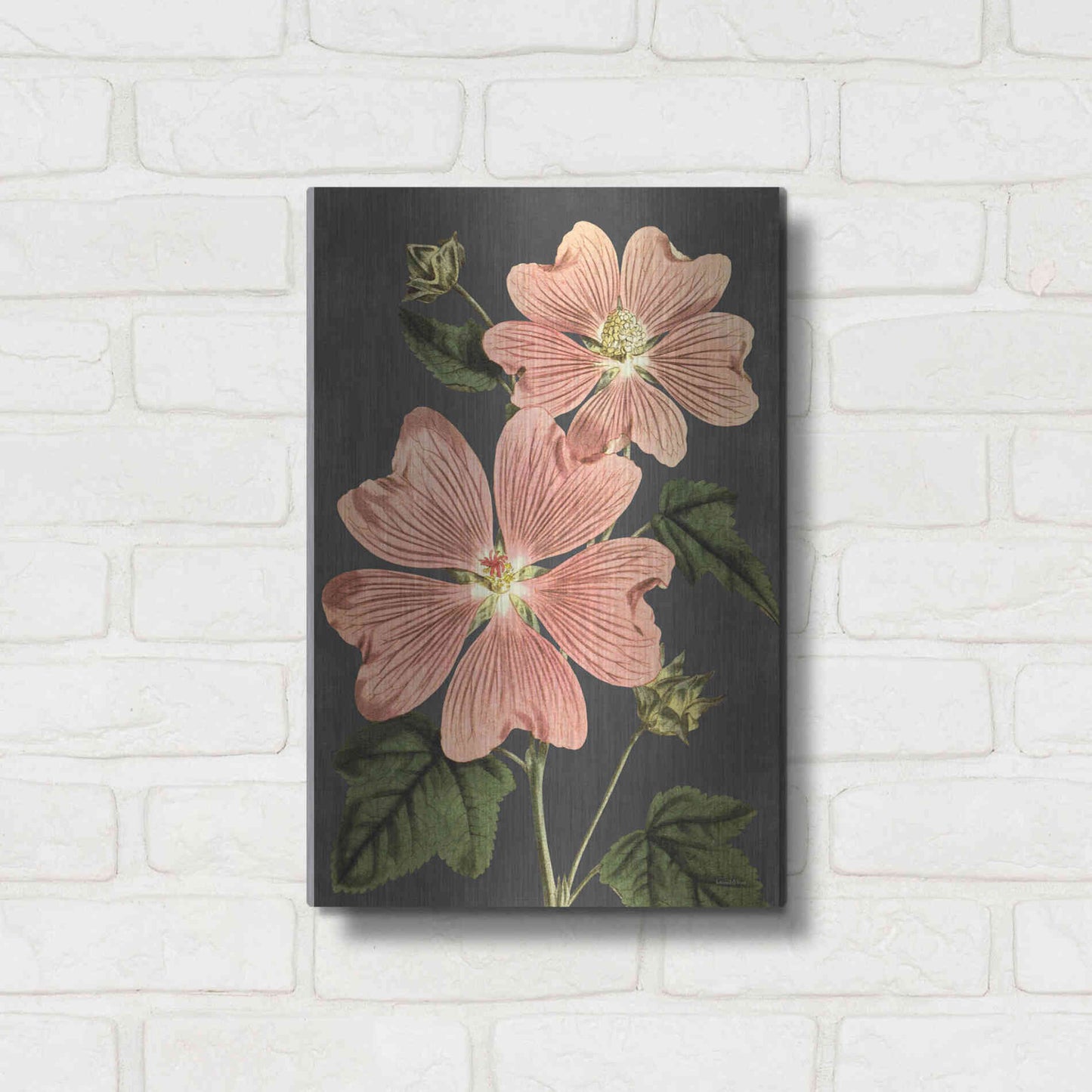 Luxe Metal Art 'Pink Anemone' by Lettered & Lined, Metal Wall Art,12x16