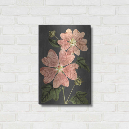 Luxe Metal Art 'Pink Anemone' by Lettered & Lined, Metal Wall Art,16x24