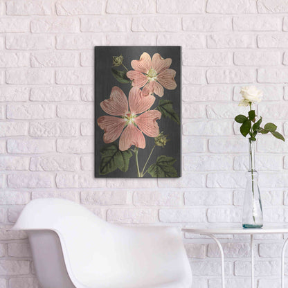 Luxe Metal Art 'Pink Anemone' by Lettered & Lined, Metal Wall Art,16x24