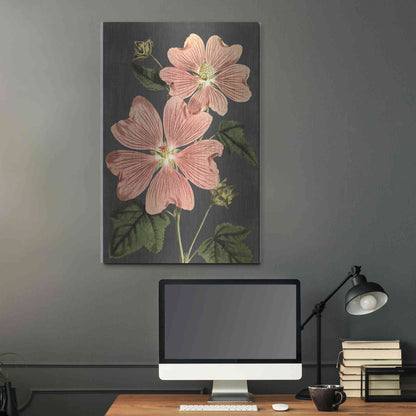 Luxe Metal Art 'Pink Anemone' by Lettered & Lined, Metal Wall Art,24x36