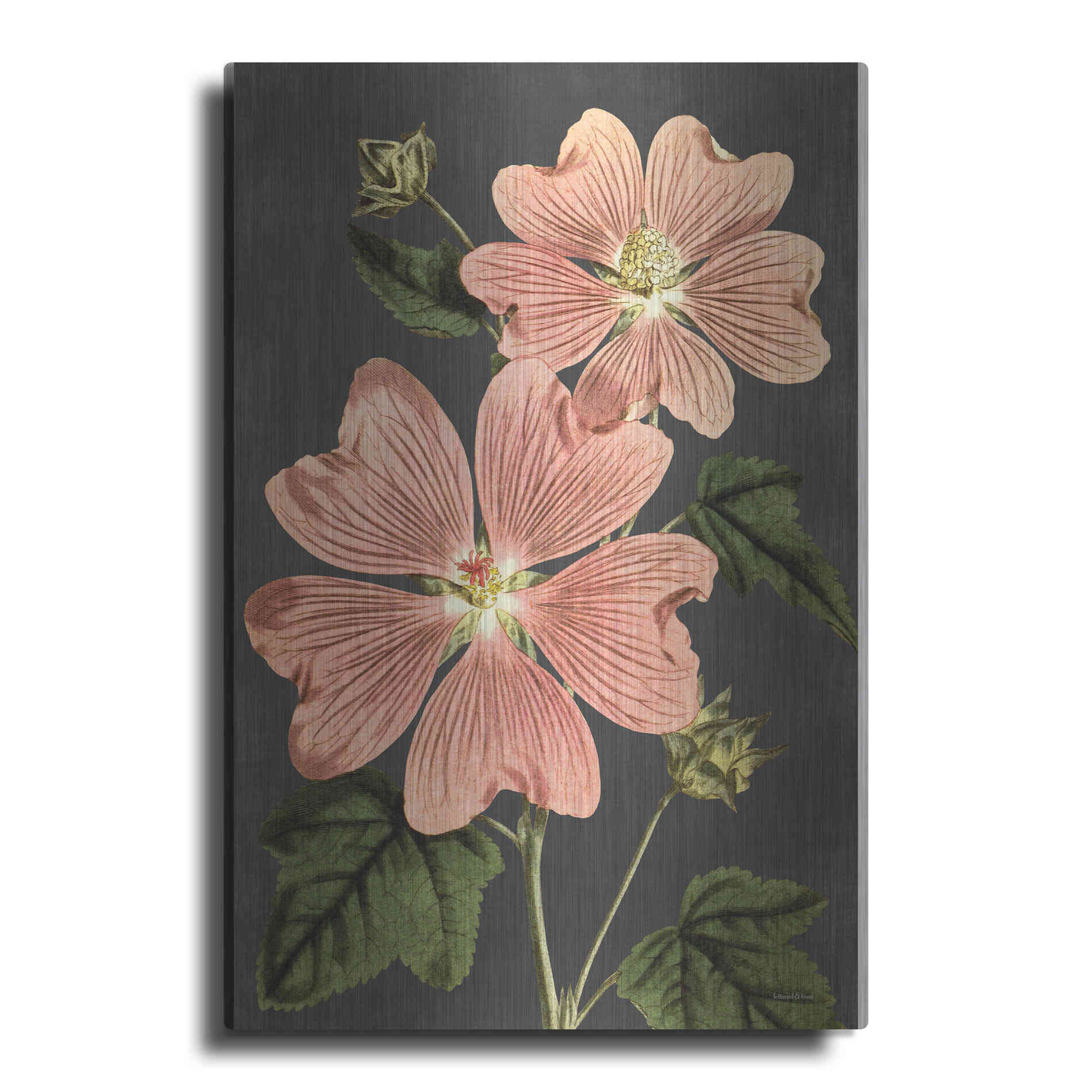 Luxe Metal Art 'Pink Anemone' by Lettered & Lined, Metal Wall Art