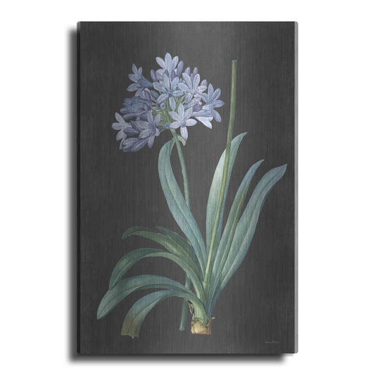 Luxe Metal Art 'Bulb Study' by Lettered & Lined, Metal Wall Art