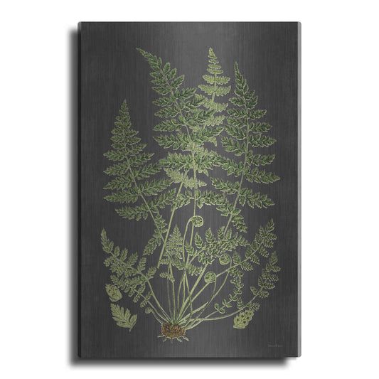 Luxe Metal Art 'Fern Study' by Lettered & Lined, Metal Wall Art