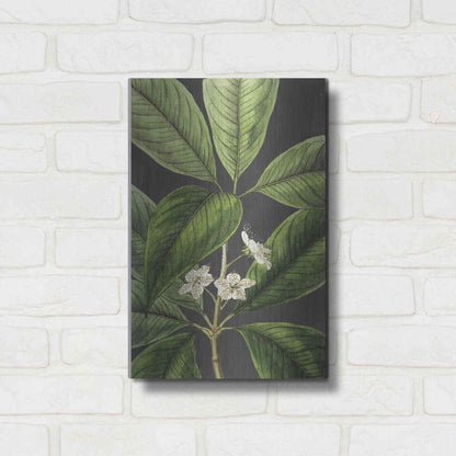 Luxe Metal Art 'Grand Leaves' by Lettered & Lined, Metal Wall Art,12x16