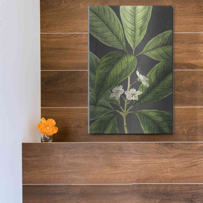 Luxe Metal Art 'Grand Leaves' by Lettered & Lined, Metal Wall Art,12x16