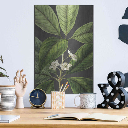 Luxe Metal Art 'Grand Leaves' by Lettered & Lined, Metal Wall Art,12x16