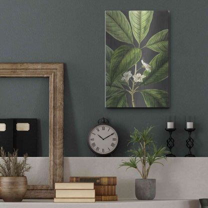 Luxe Metal Art 'Grand Leaves' by Lettered & Lined, Metal Wall Art,12x16