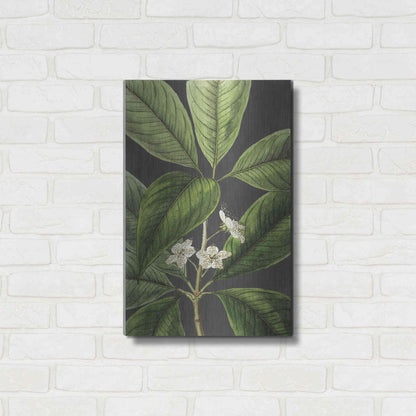 Luxe Metal Art 'Grand Leaves' by Lettered & Lined, Metal Wall Art,16x24