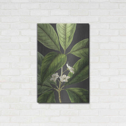 Luxe Metal Art 'Grand Leaves' by Lettered & Lined, Metal Wall Art,24x36