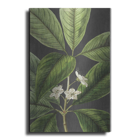 Luxe Metal Art 'Grand Leaves' by Lettered & Lined, Metal Wall Art