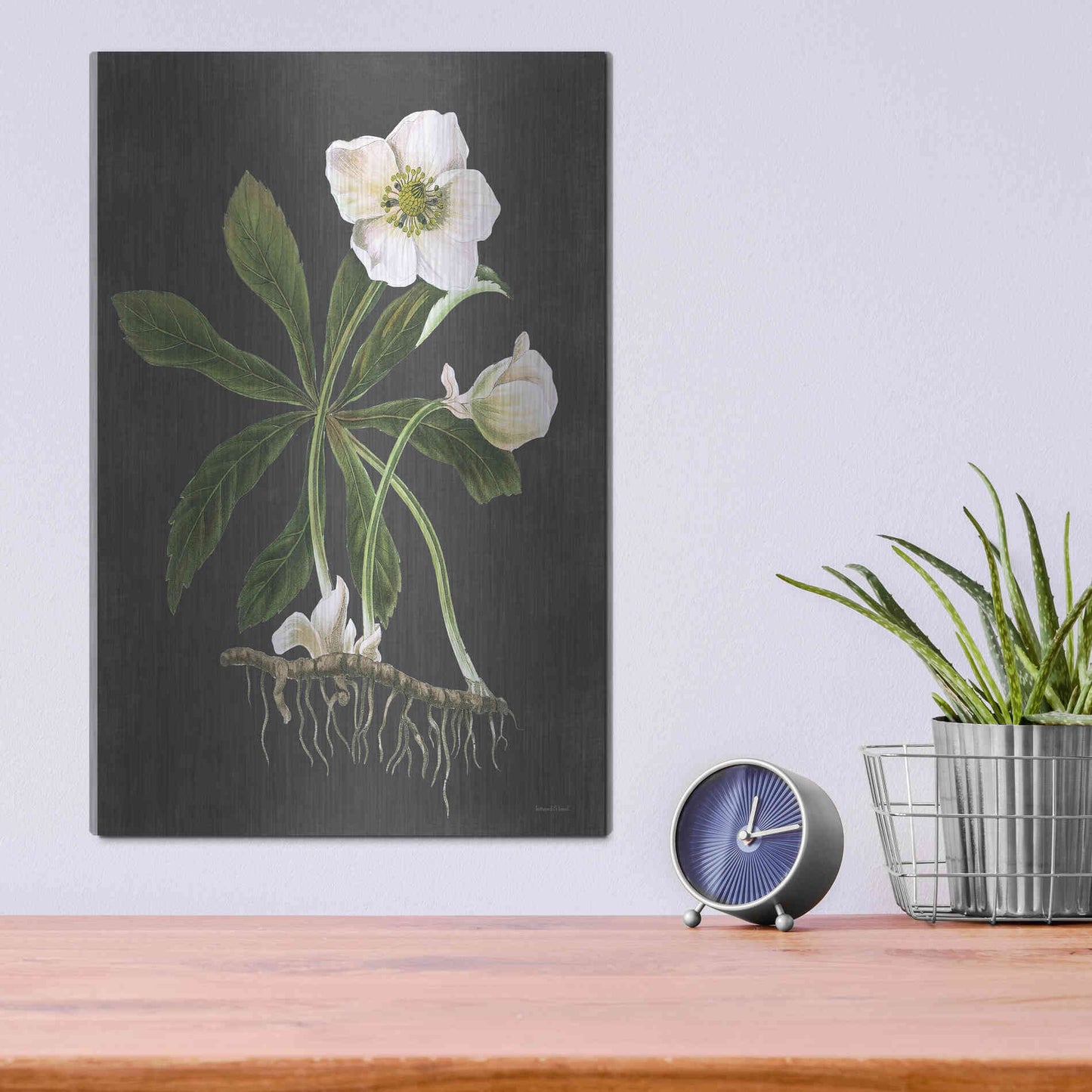 Luxe Metal Art 'Hellebore' by Lettered & Lined, Metal Wall Art,12x16
