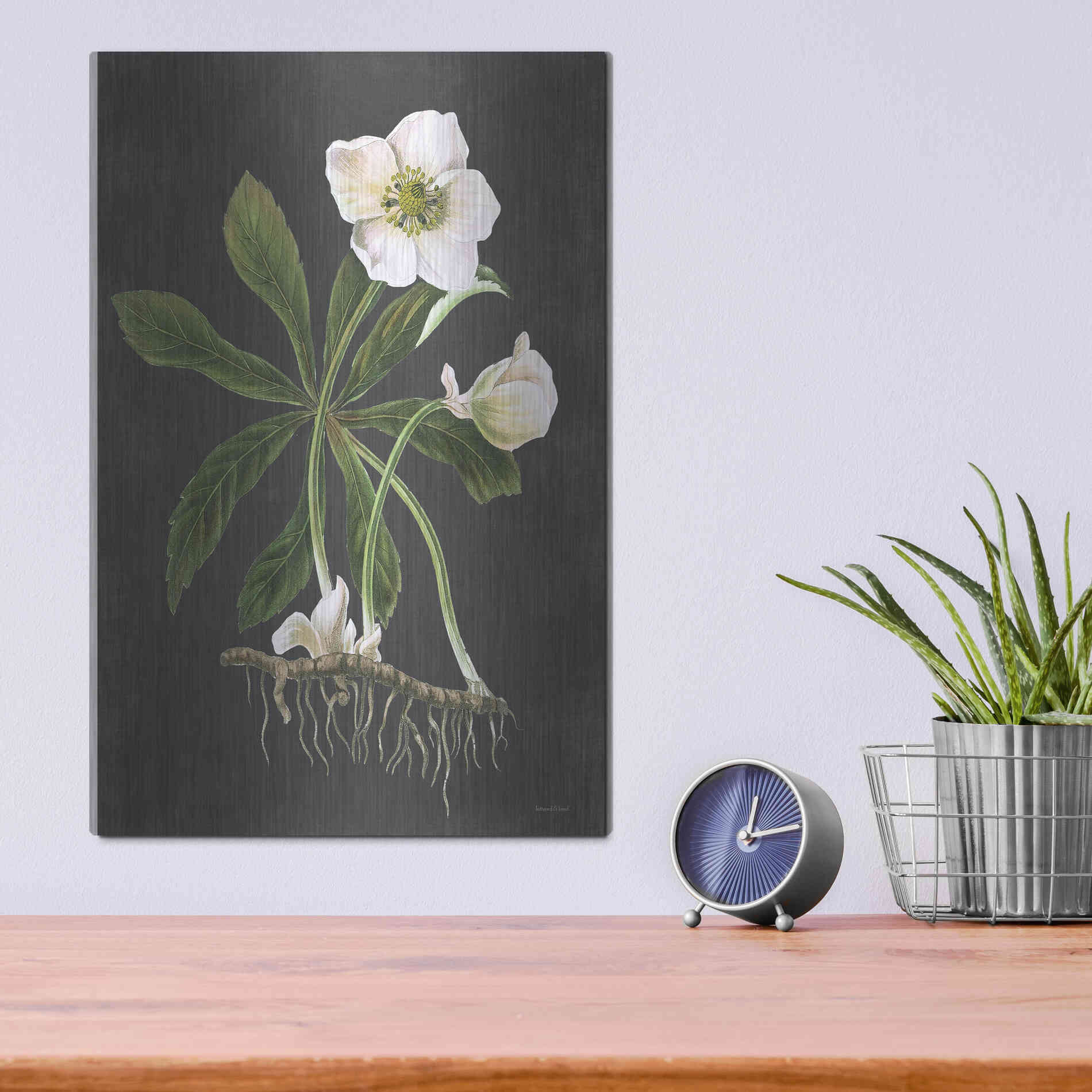 Luxe Metal Art 'Hellebore' by Lettered & Lined, Metal Wall Art,12x16