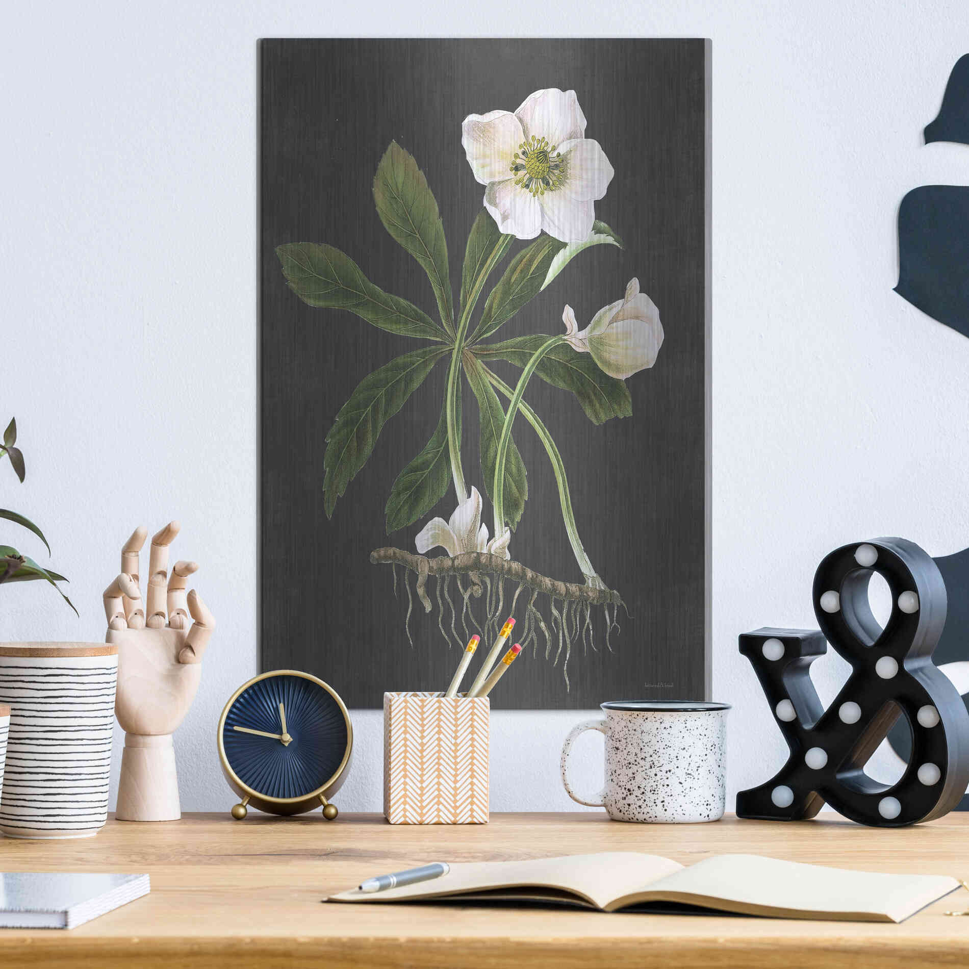 Luxe Metal Art 'Hellebore' by Lettered & Lined, Metal Wall Art,12x16
