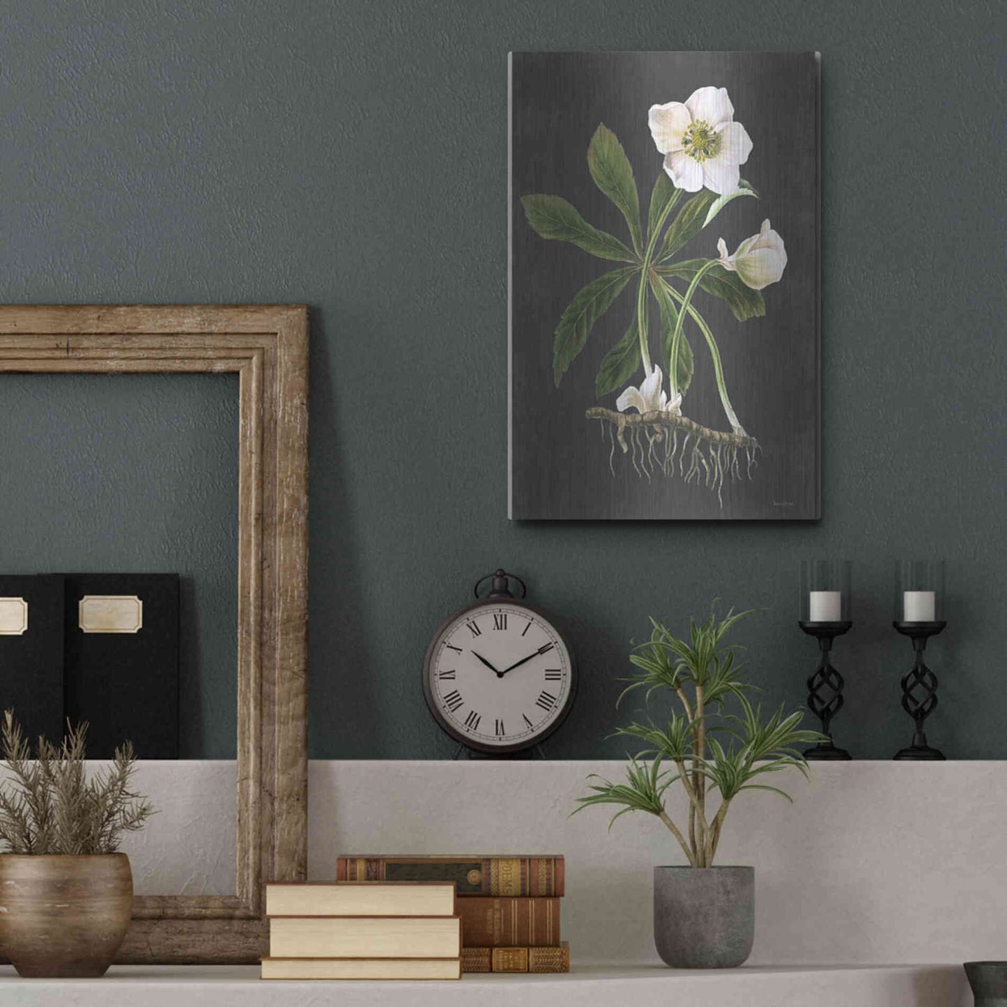 Luxe Metal Art 'Hellebore' by Lettered & Lined, Metal Wall Art,12x16