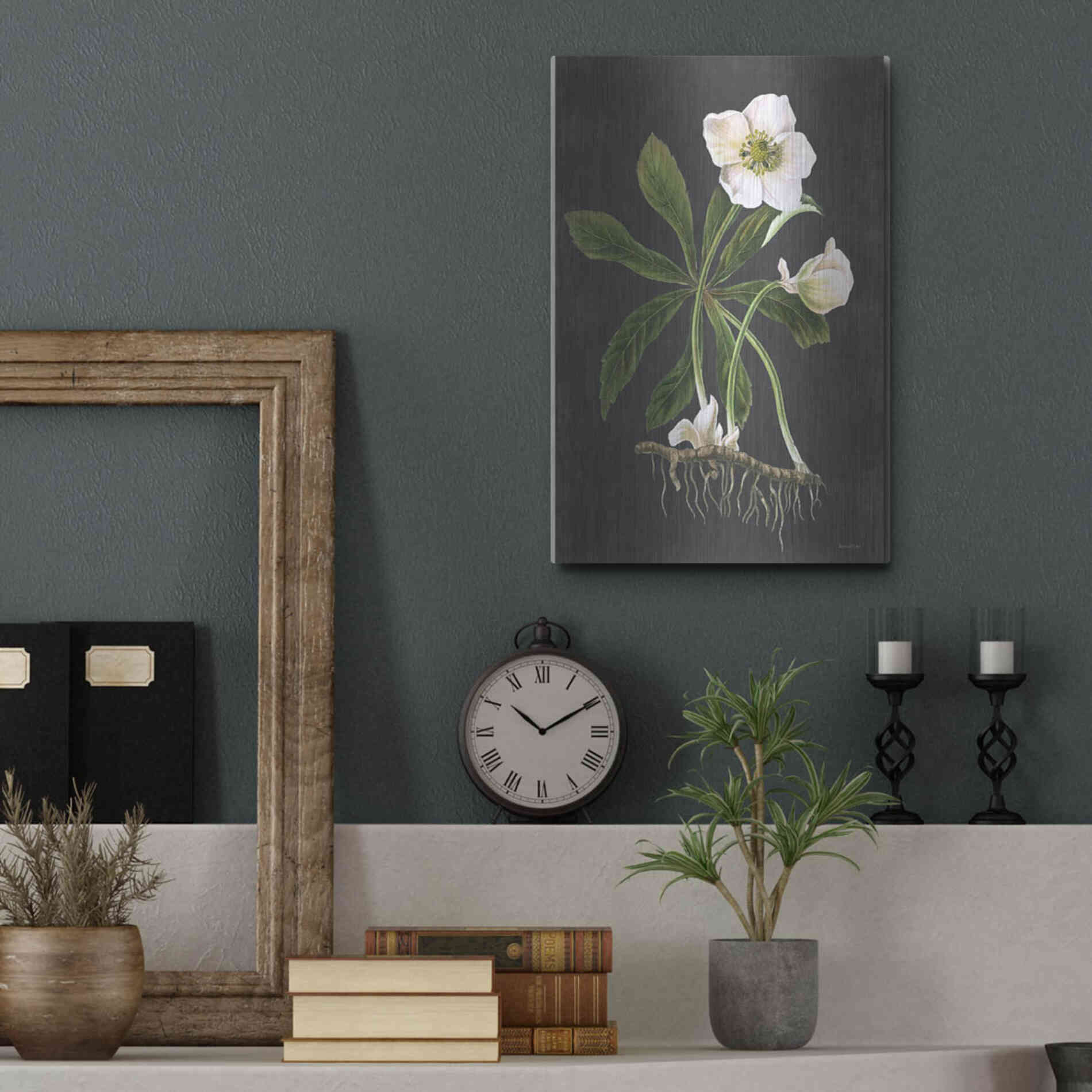 Luxe Metal Art 'Hellebore' by Lettered & Lined, Metal Wall Art,12x16