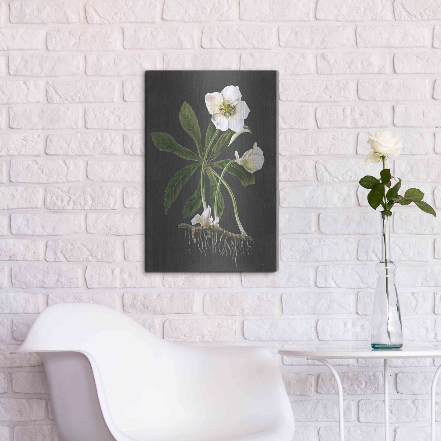 Luxe Metal Art 'Hellebore' by Lettered & Lined, Metal Wall Art,16x24