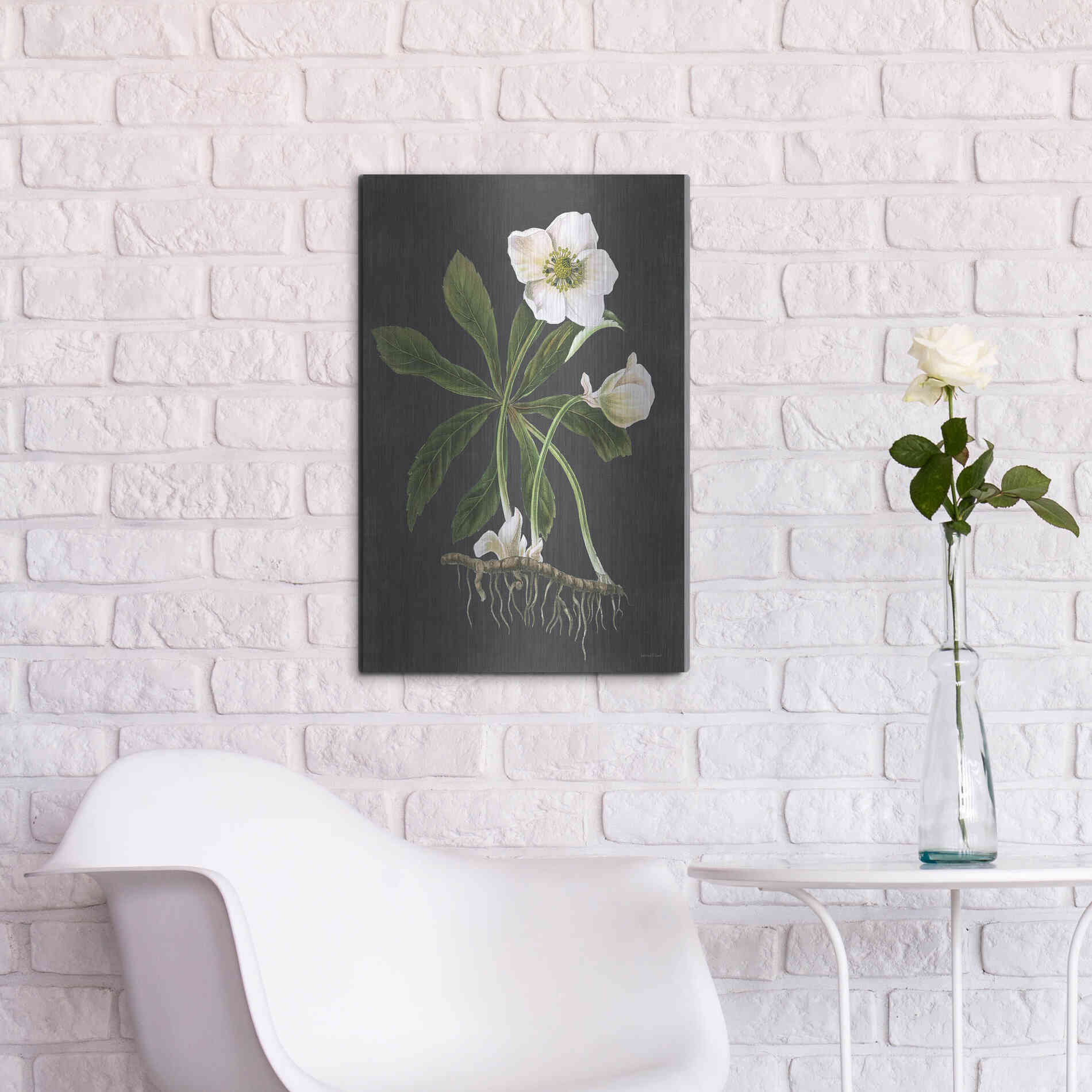 Luxe Metal Art 'Hellebore' by Lettered & Lined, Metal Wall Art,16x24