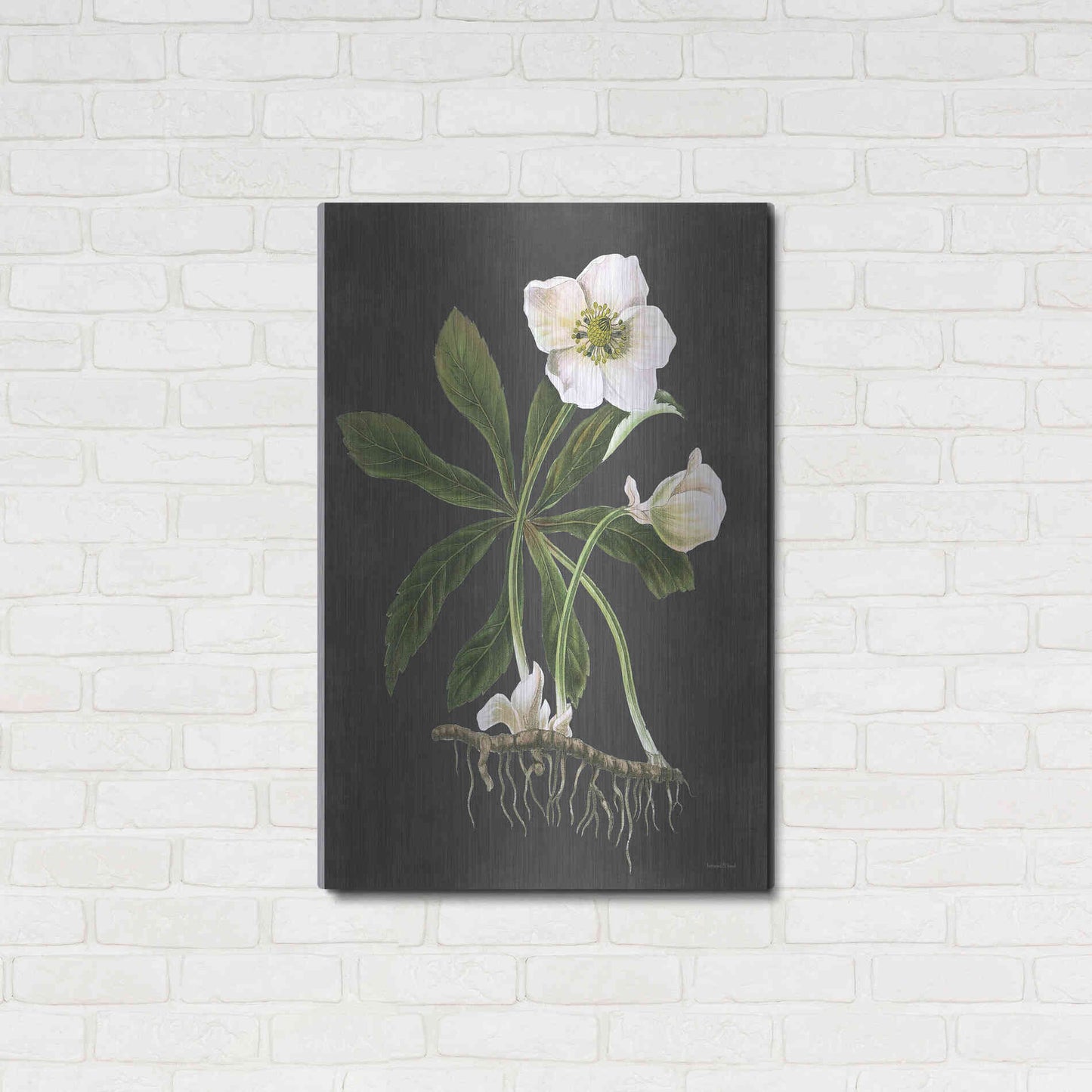 Luxe Metal Art 'Hellebore' by Lettered & Lined, Metal Wall Art,24x36
