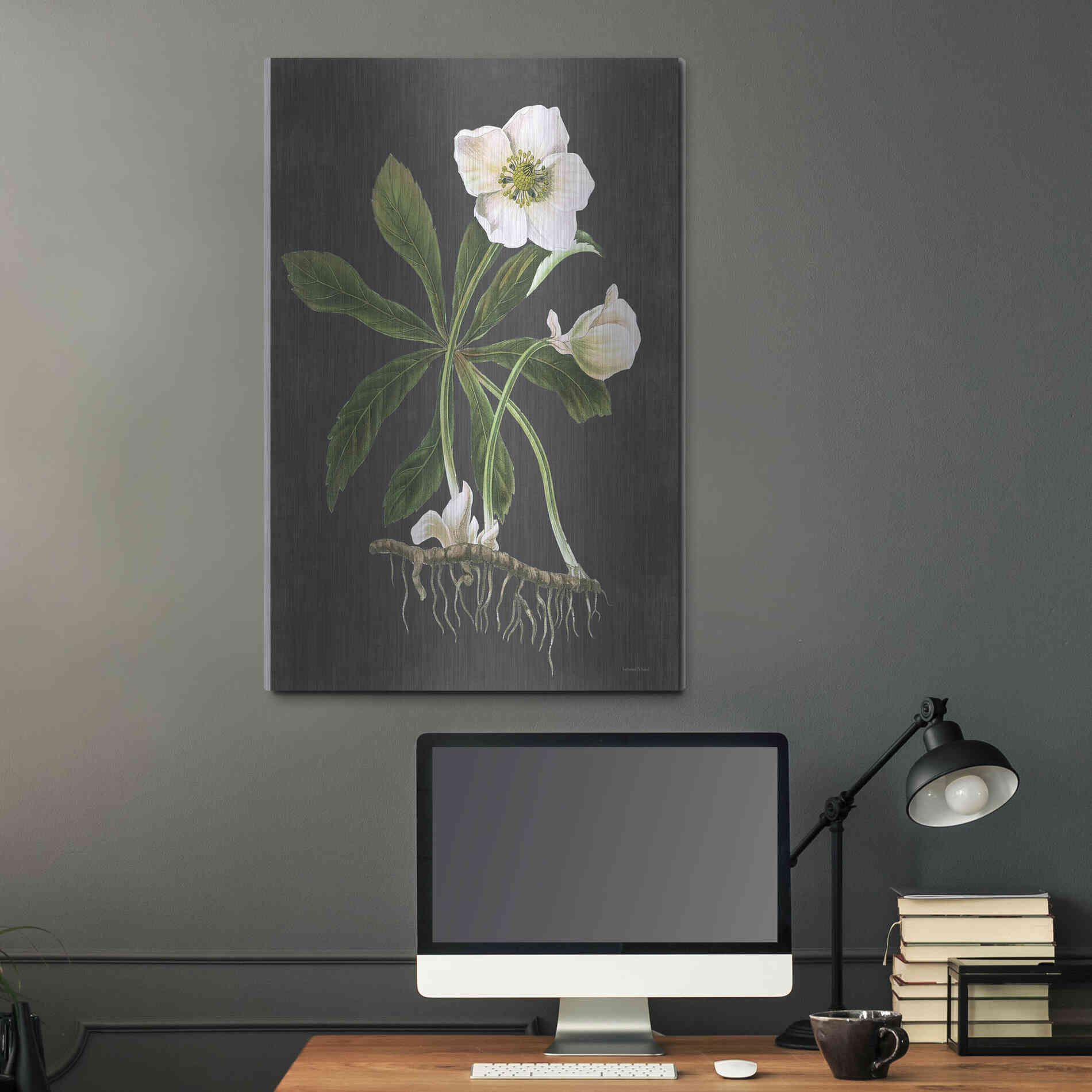 Luxe Metal Art 'Hellebore' by Lettered & Lined, Metal Wall Art,24x36