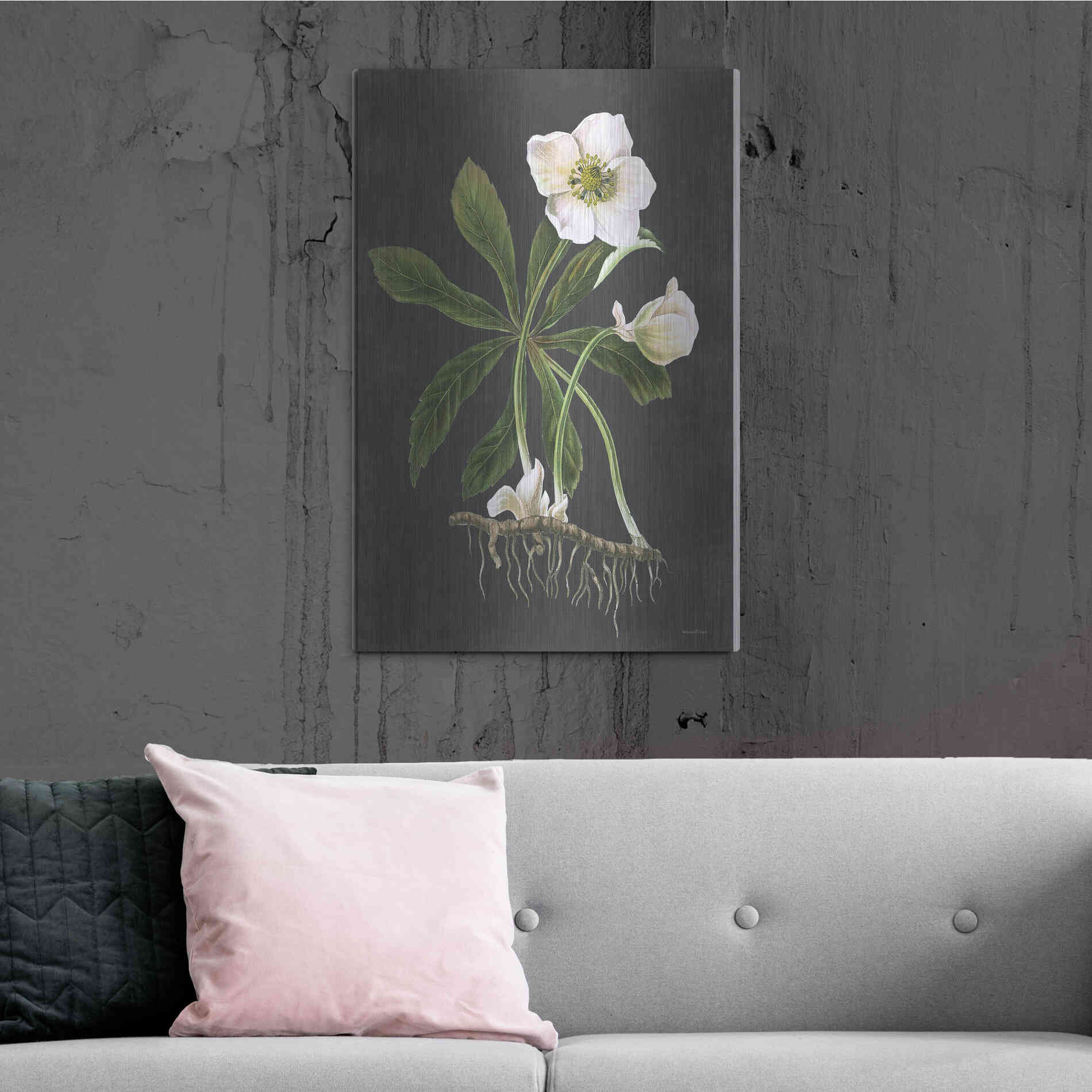 Luxe Metal Art 'Hellebore' by Lettered & Lined, Metal Wall Art,24x36