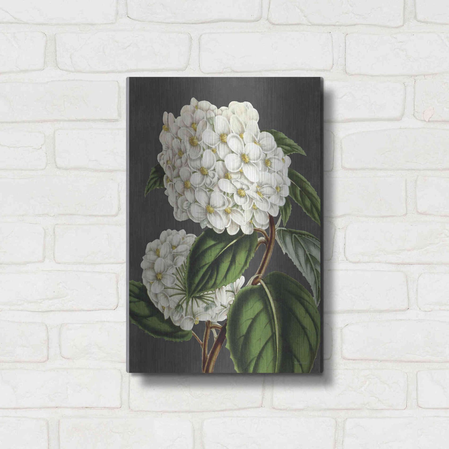 Luxe Metal Art 'Hydrangea' by Lettered & Lined, Metal Wall Art,12x16