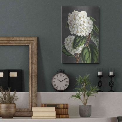 Luxe Metal Art 'Hydrangea' by Lettered & Lined, Metal Wall Art,12x16