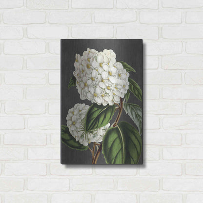 Luxe Metal Art 'Hydrangea' by Lettered & Lined, Metal Wall Art,16x24