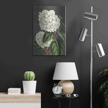 Luxe Metal Art 'Hydrangea' by Lettered & Lined, Metal Wall Art,16x24