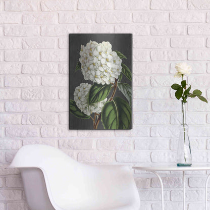 Luxe Metal Art 'Hydrangea' by Lettered & Lined, Metal Wall Art,16x24