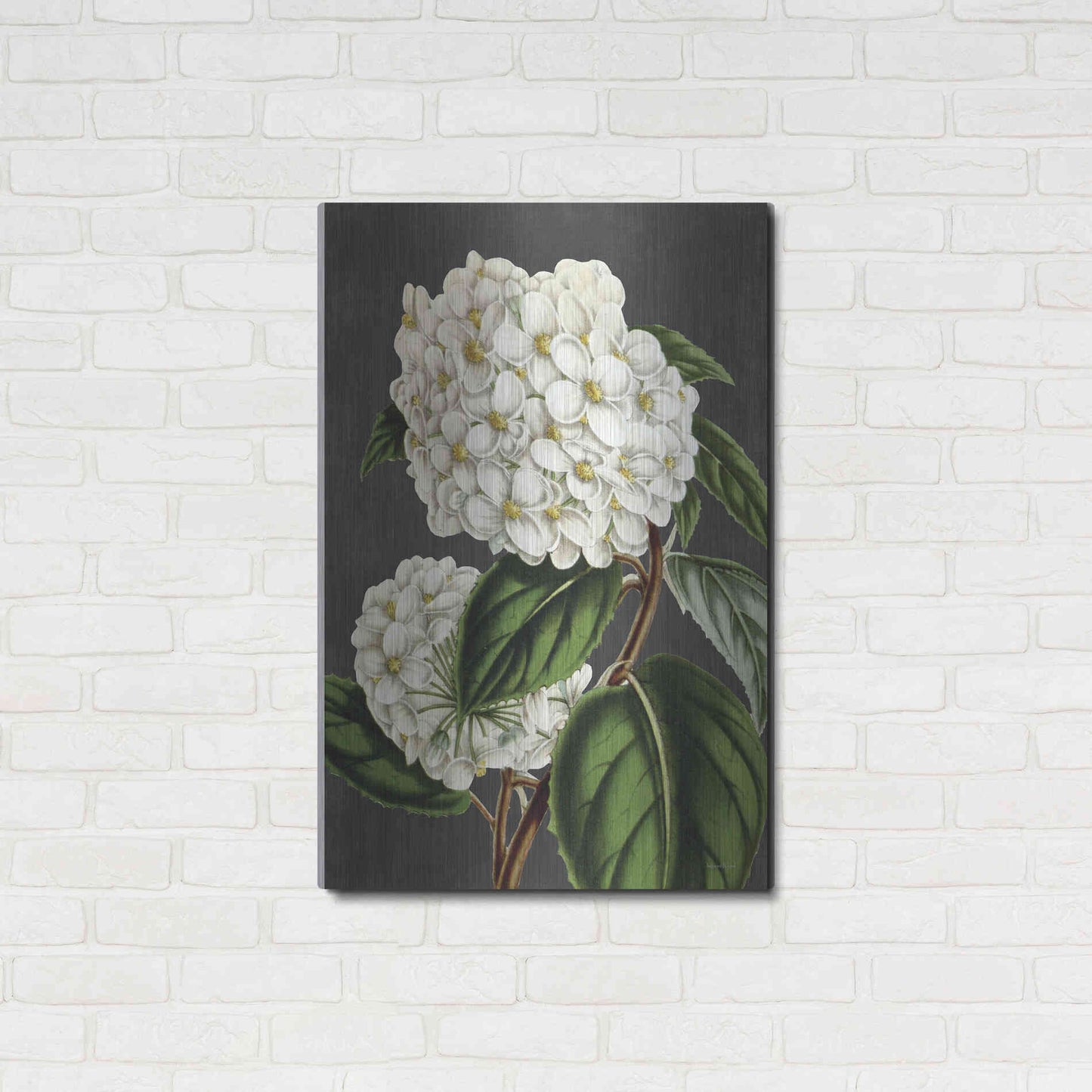 Luxe Metal Art 'Hydrangea' by Lettered & Lined, Metal Wall Art,24x36