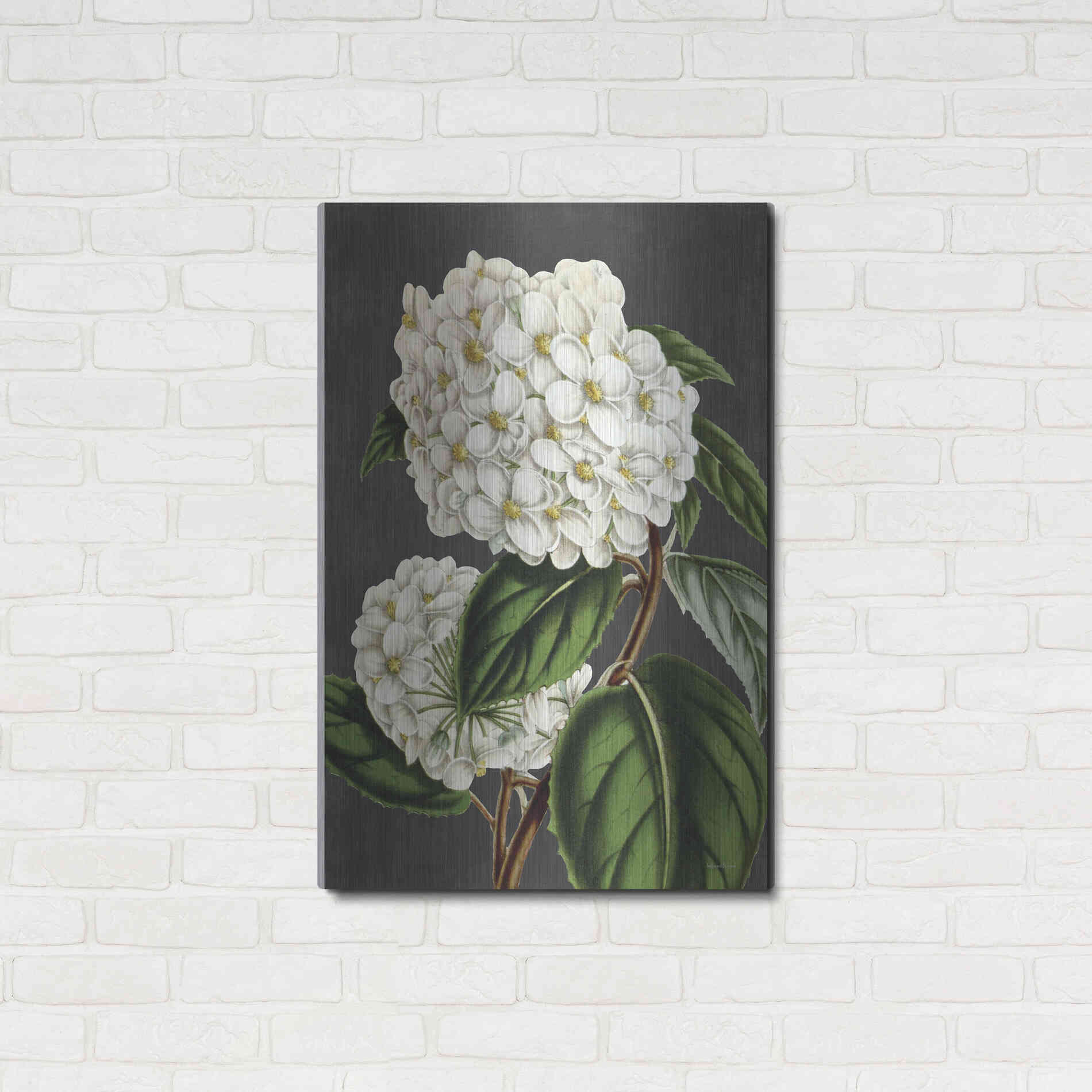 Luxe Metal Art 'Hydrangea' by Lettered & Lined, Metal Wall Art,24x36