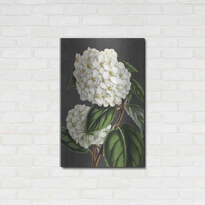 Luxe Metal Art 'Hydrangea' by Lettered & Lined, Metal Wall Art,24x36