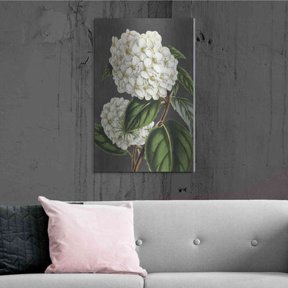 Luxe Metal Art 'Hydrangea' by Lettered & Lined, Metal Wall Art,24x36
