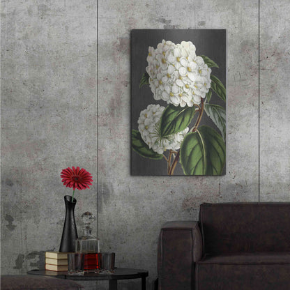 Luxe Metal Art 'Hydrangea' by Lettered & Lined, Metal Wall Art,24x36