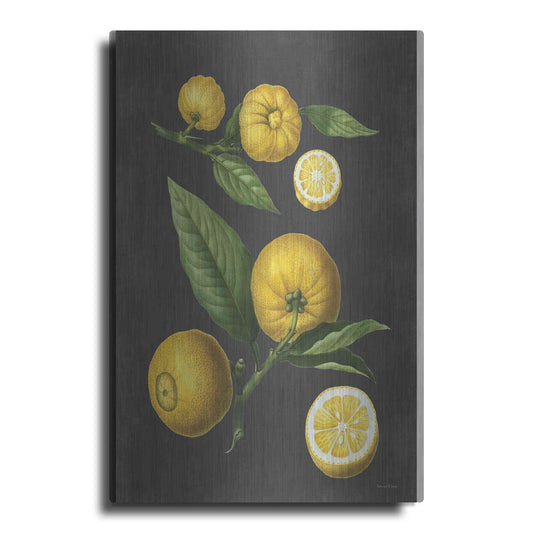Luxe Metal Art 'Lemon Citrus' by Lettered & Lined, Metal Wall Art