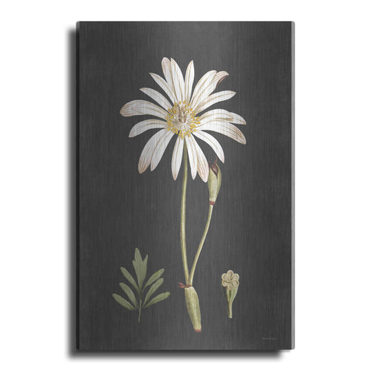 Luxe Metal Art 'Naturalist Bloom Study' by Lettered & Lined, Metal Wall Art