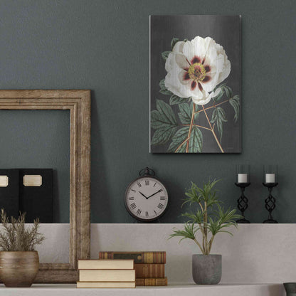 Luxe Metal Art 'Vintage Rose' by Lettered & Lined, Metal Wall Art,12x16