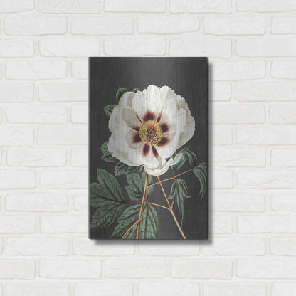 Luxe Metal Art 'Vintage Rose' by Lettered & Lined, Metal Wall Art,16x24