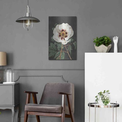 Luxe Metal Art 'Vintage Rose' by Lettered & Lined, Metal Wall Art,16x24