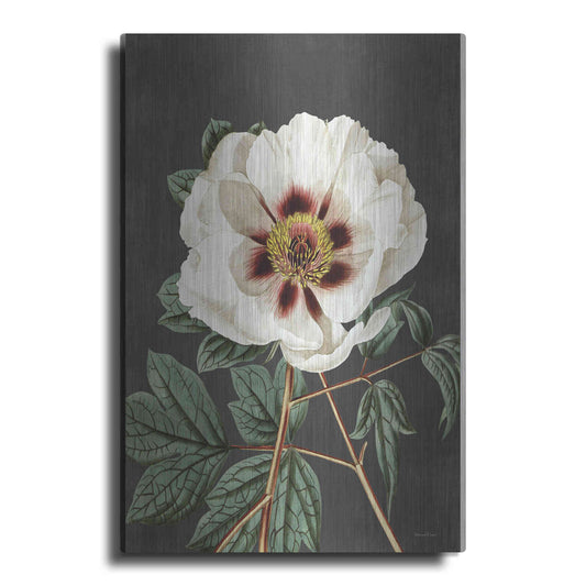 Luxe Metal Art 'Vintage Rose' by Lettered & Lined, Metal Wall Art