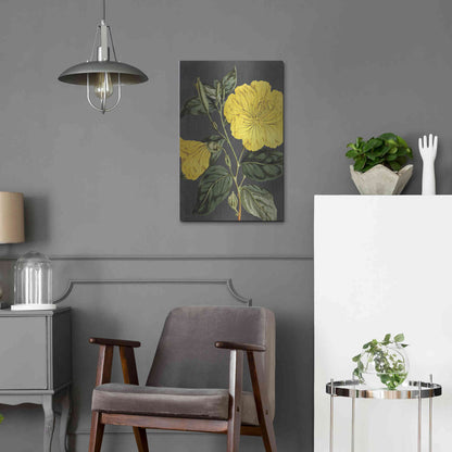 Luxe Metal Art 'Yellow Vine' by Lettered & Lined, Metal Wall Art,16x24