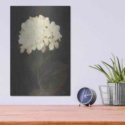 Luxe Metal Art 'Vintage White Hydrangea' by Lettered & Lined, Metal Wall Art,12x16