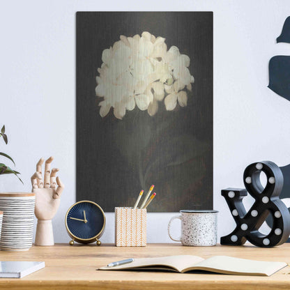 Luxe Metal Art 'Vintage White Hydrangea' by Lettered & Lined, Metal Wall Art,12x16